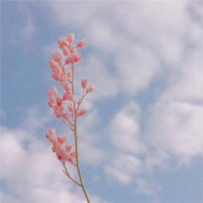 半岛彩票手机app下载截图